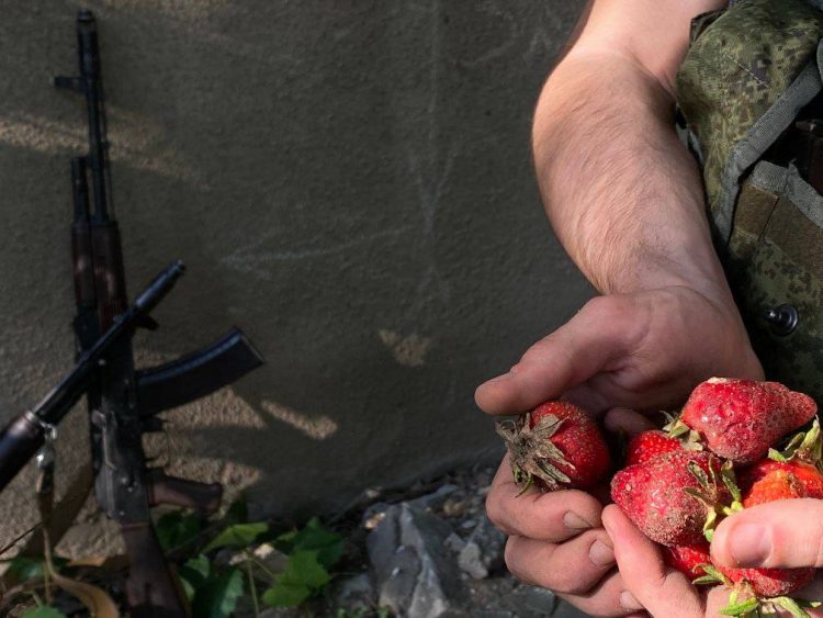 На Херсонщині окупанти наймаються до місцевих збирати полуницю (фото)