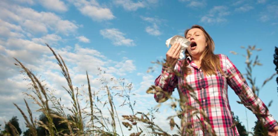 3 remedios naturales contra la alergia al polen ➤ Prozoro.net.ua