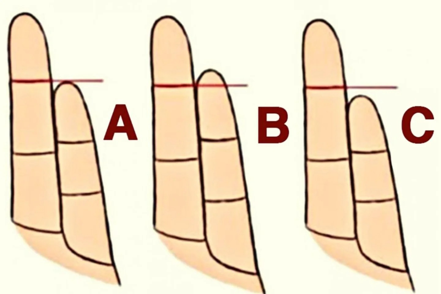 Sehtest: Die Größe Ihres kleinen Fingers zeigt Ihnen, was Ihre wahre Persönlichkeit ist ➤ Prozoro.net.ua