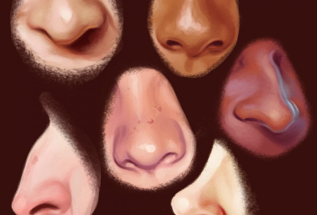 Как определить характер по форме носа? ➤ Prozoro.net.ua