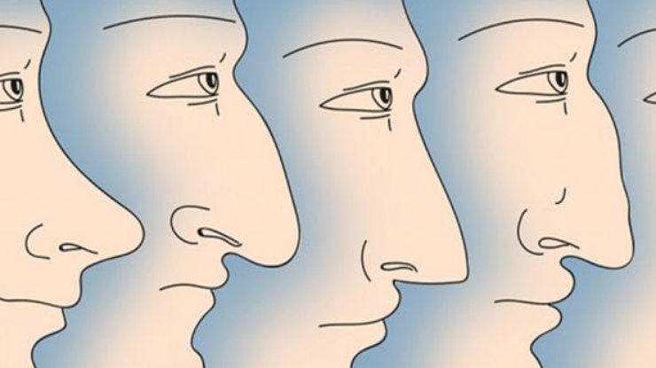 Cómo es tu personalidad según la forma de tu nariz ➤ Prozoro.net.ua