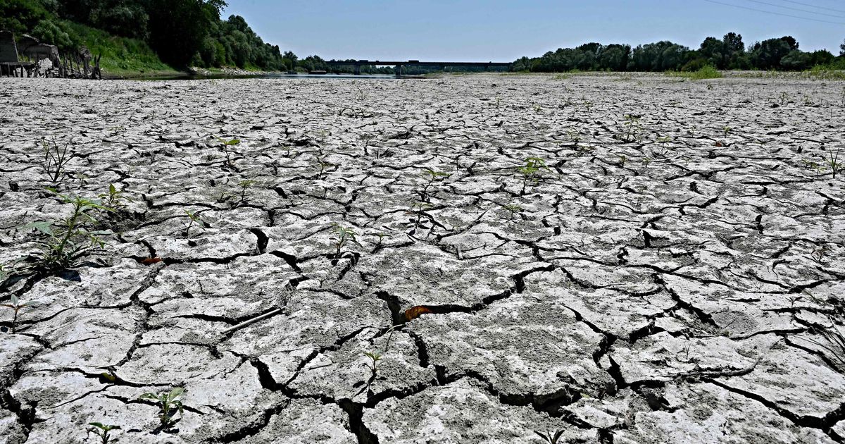 Аномальные засухи и изменение климата лишают Европу воды ➤ Prozoro.net.ua