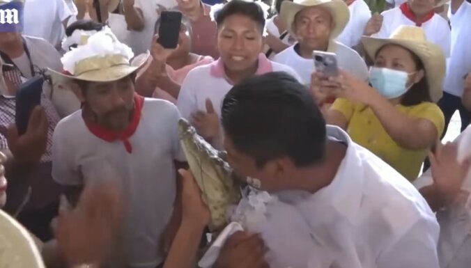 Мэр мексиканского города женился на аллигаторе. Видео ➤ Prozoro.net.ua