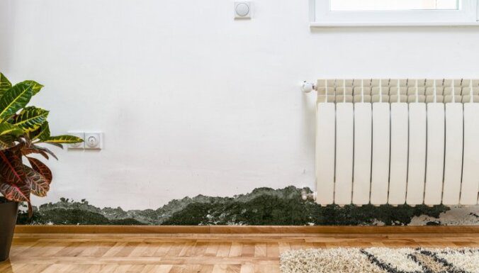 7 запахов в доме, которые нельзя игнорировать ➤ Prozoro.net.ua