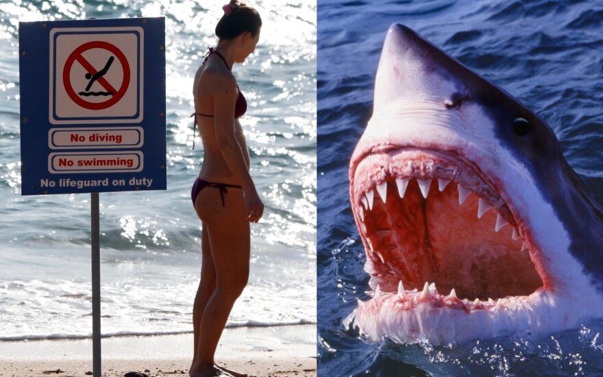 На пляже в Хургаде жертвами акул стали две женщины – туристки из Австрии и Румынии ➤ Prozoro.net.ua