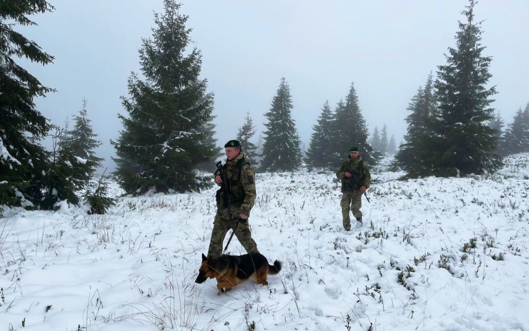 У Карпатах випало до 40 см снігу: фото ➤ Prozoro.net.ua