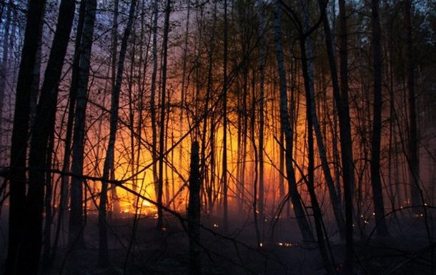 Буде відкрито ще один фронт: відома відьма-некромантка зробила прогнозprozoro.net.ua