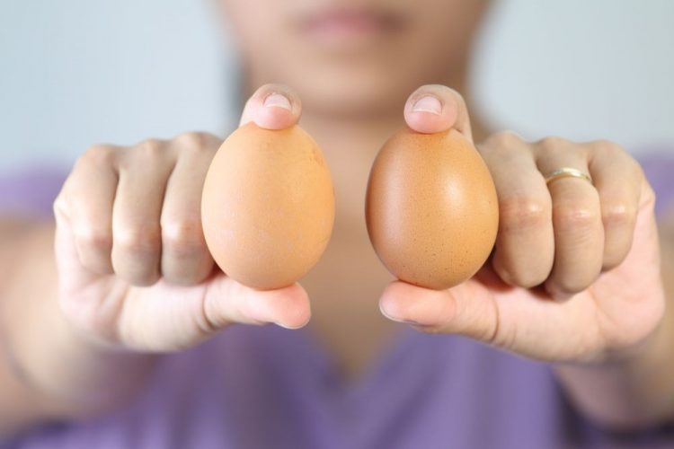 Esto es lo que le pasa a tu organismo cuando comes todos los días un huevo