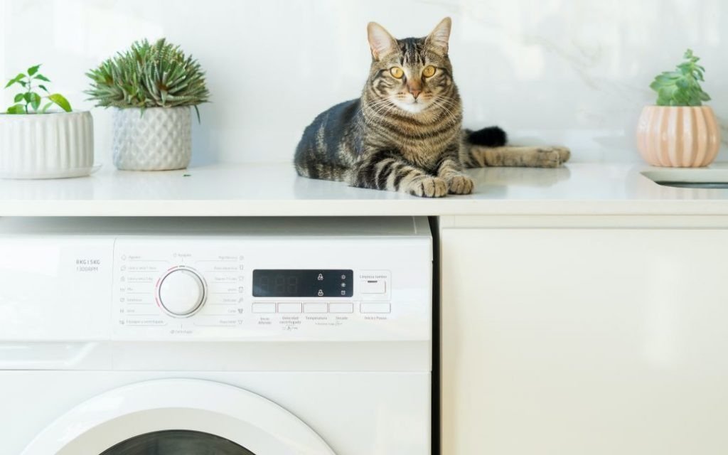 Сморід і поломки: як правильно чистити фільтр пральної машини ➤ Prozoro.net.ua