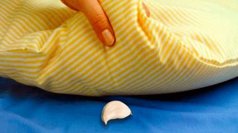 Beneficios de poner un diente de ajo bajo la almohada ➤ Prozoro.net.ua