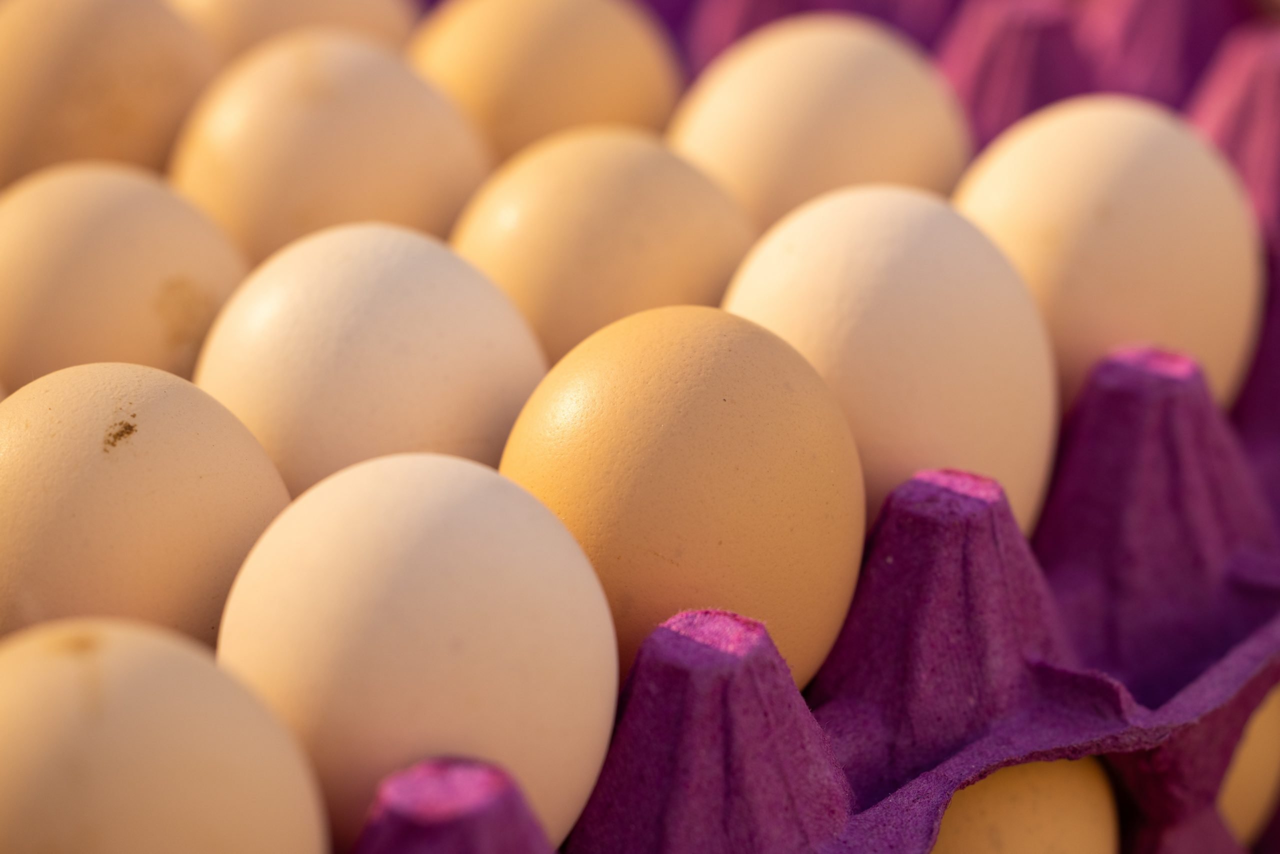 Українські виробники яєць пообіцяли стабілізувати ціни ➤ Prozoro.net.ua