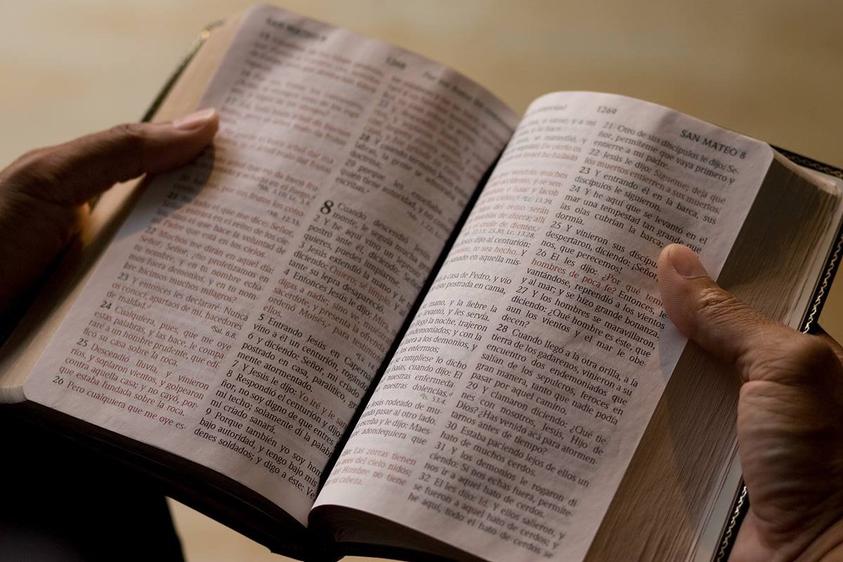 Cosas que no sabías que estaban prohibidas en la Biblia ➤ Prozoro.net.ua