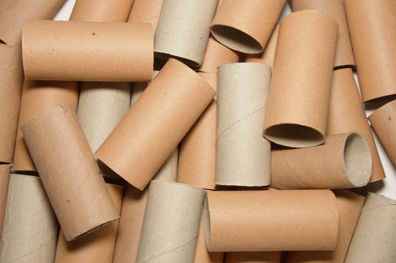 5 ingeniosas maneras de reutilizar los rollos de papel higiénico ➤ Prozoro.net.ua