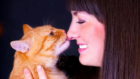 Besar a un gato puede matarte… ¡Descubre en nuestro artículo por qué! ➤ Infotime.co