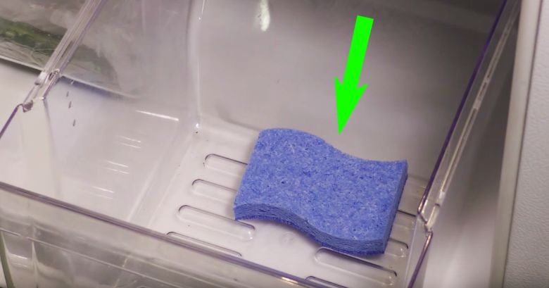 Er legte einen Schwamm in den Kühlschrank – der Grund wird dich überraschen! Was für ein superTrick! ➤ Prozoro.net.ua
