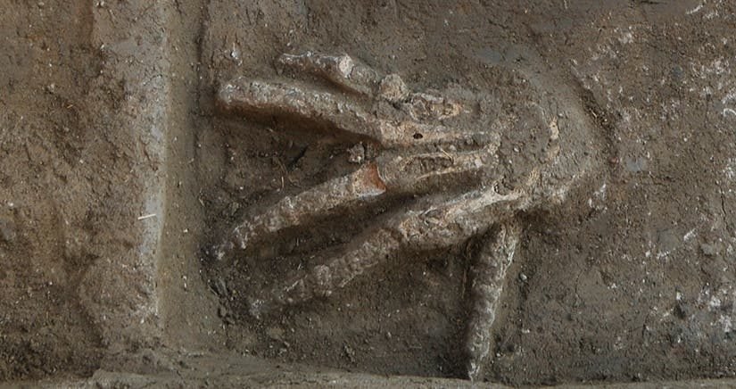 Die brutale Entdeckung bestätigt die grausamen Praktiken der alten Ägypter ➤ Infotime.co