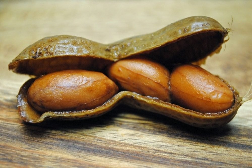 Kacang tanah rebus memiliki manfaat yang tidak terduga bagi tubuh, simaklah! ➤ Infotime.co
