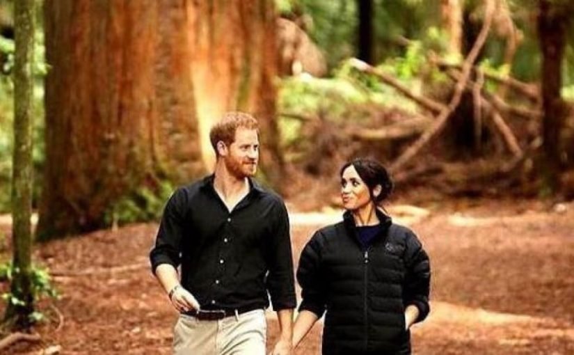 Dalam perceraian, Meghan Markle sering meninggalkan Pangeran Harry dan bertahan karenanya ➤ Infotime.co