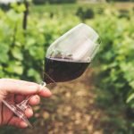 Найпростіший рецепт вина з домашнього винограду ➤ Infotime.co