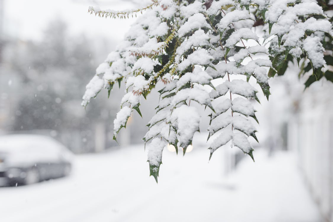 Синоптики повідомили про погоду у грудні ➤ Infotime.co
