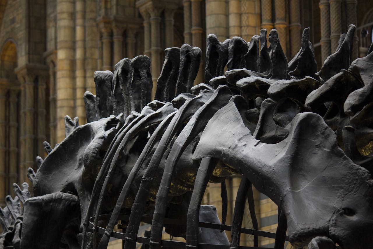 Штучний інтелект втрутився у суперечку вчених щодо зникнення динозаврів ➤ Infotime.co