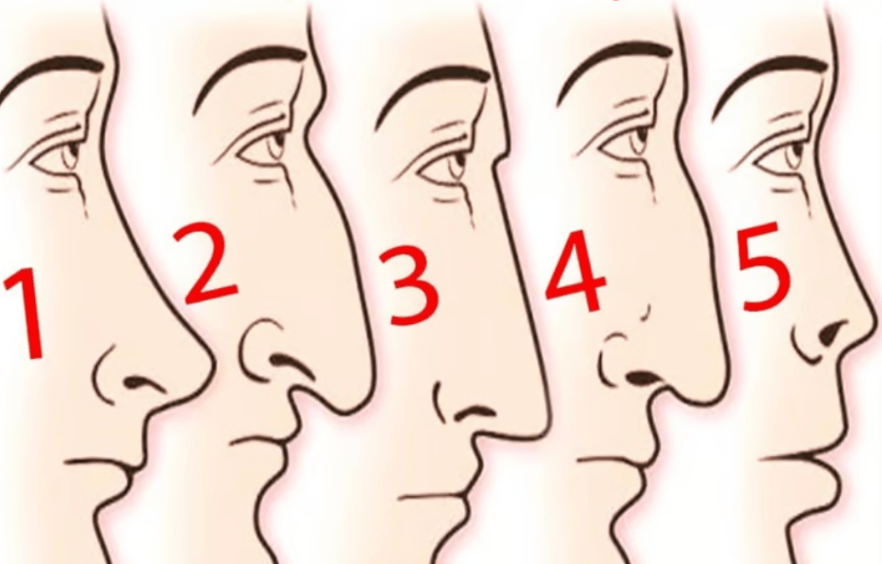 नाक का आकार बताता है आपका स्वभाव और भविष्य ➤ Infotime.co