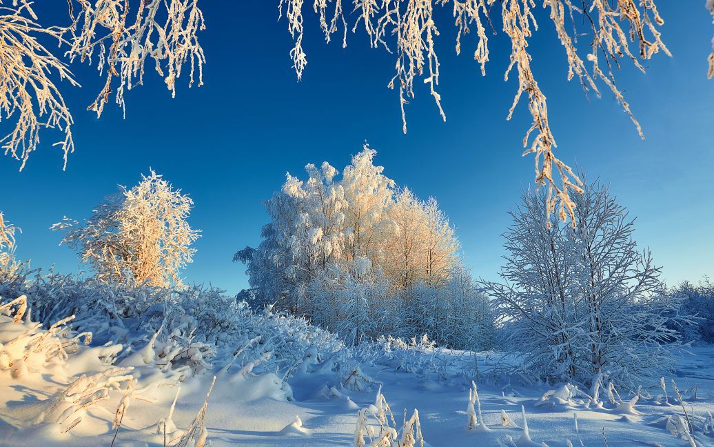 Синоптики здивували прогнозом про погоду в Україні на Різдво та Новий рік