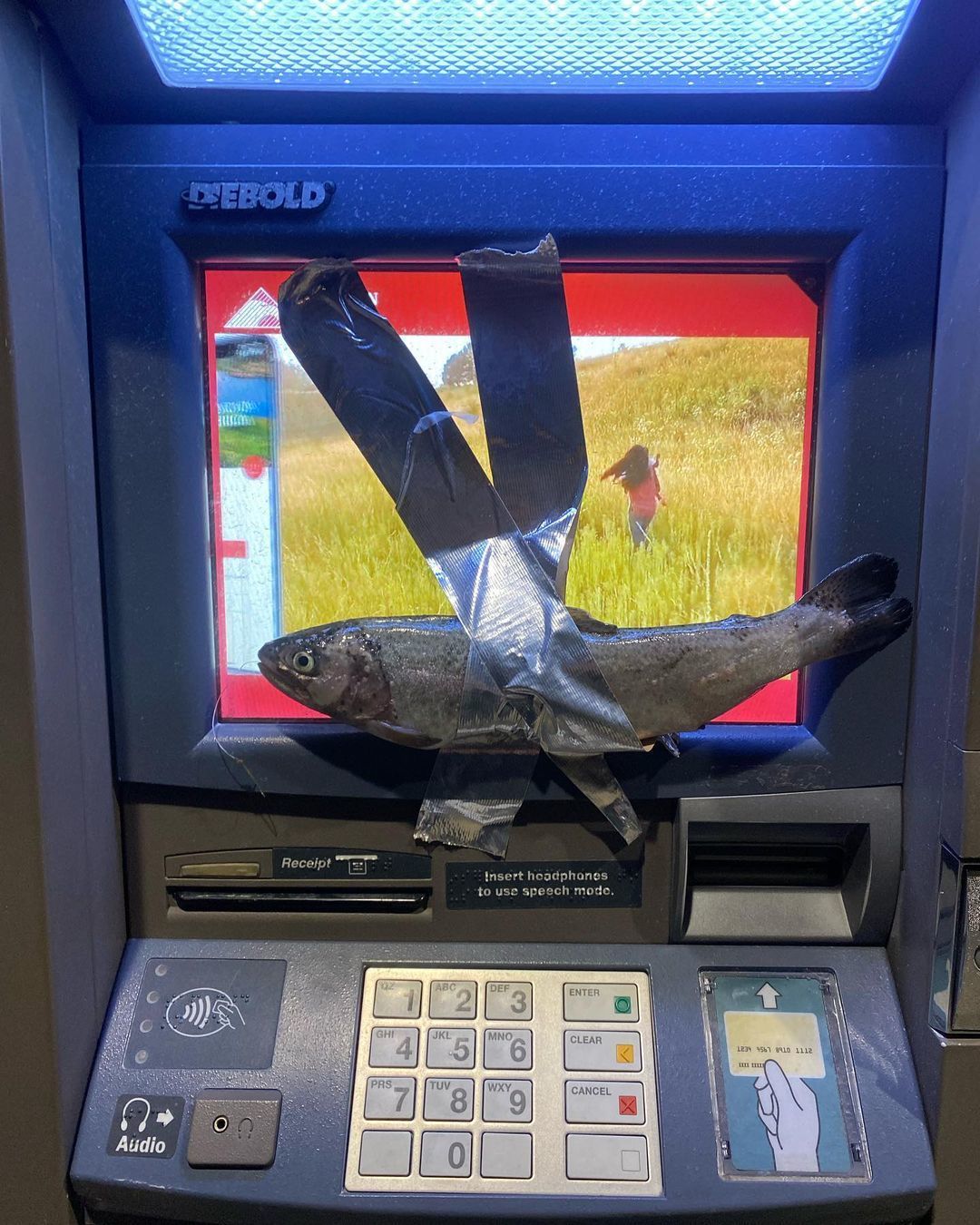 Подросток в США приклеивал рыбу к банкоматам: видео