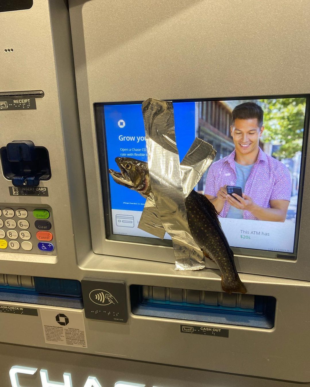 Подросток в США приклеивал рыбу к банкоматам: видео