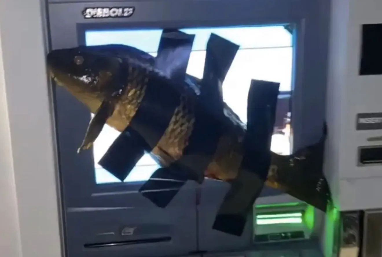Подросток в США приклеивал рыбу к банкоматам: видео ➤ Infotime.co