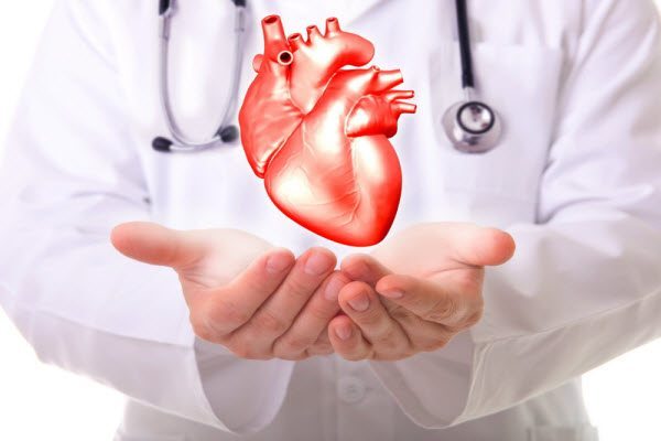 Три продукти, які рекомендує кардіолог: доступні та корисні для серця ➤ Главное.net