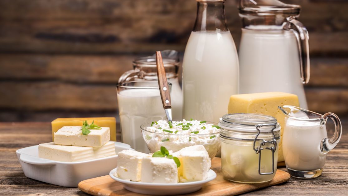 Шкода від молочних продуктів: дослідження 