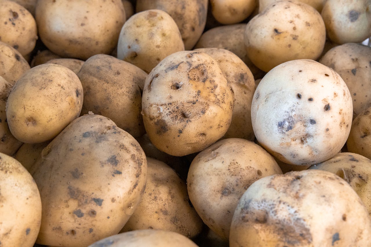 Чи можна їсти зморщену картоплю: експерти дали відповідь