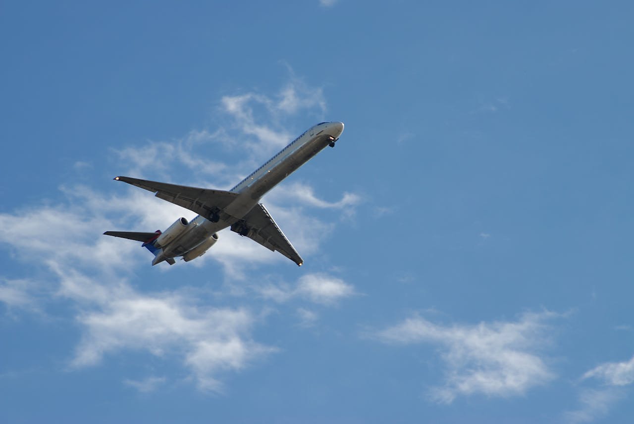 Родившийся в самолете ребенок получил право на бесплатные перелеты: фото