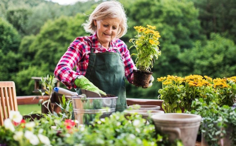 Чому садівництво корисне: 5 переваг для здоров’я ➤ Infotime.co
