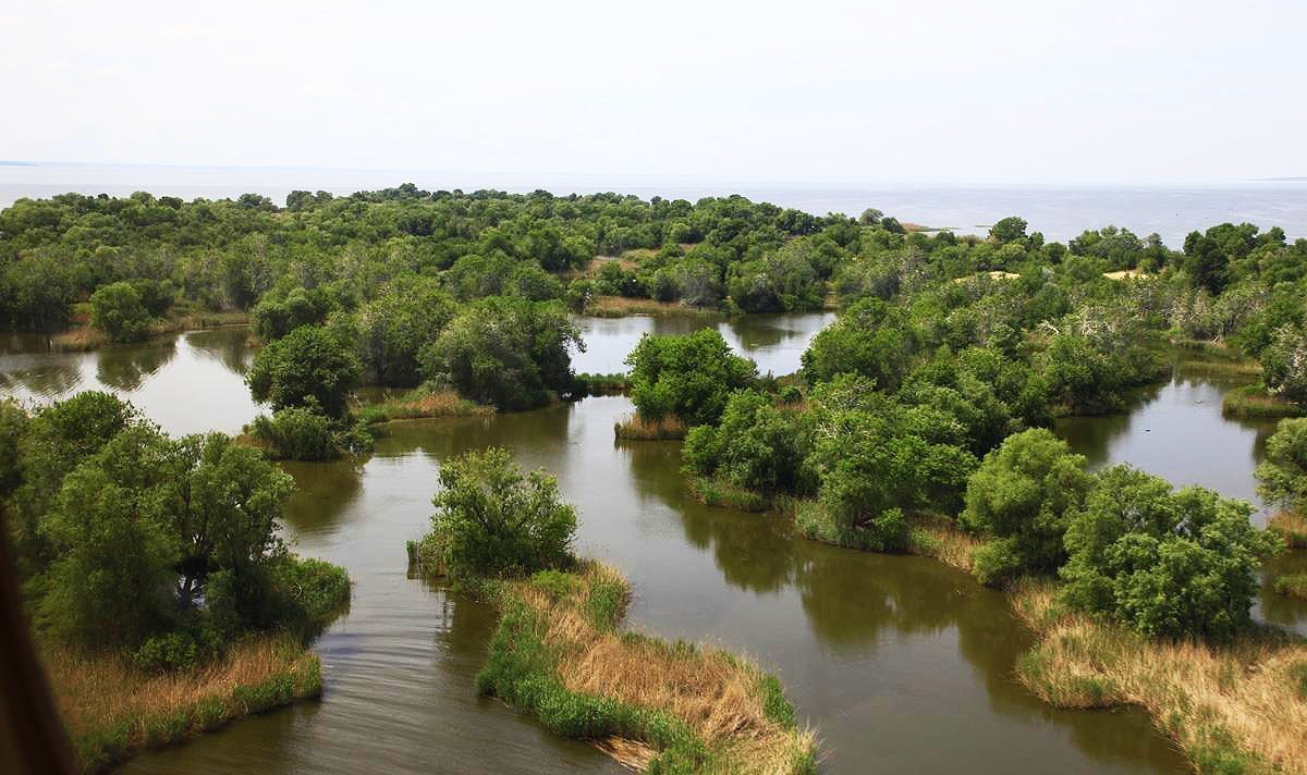 Чи відродиться Великий Луг на місці знищеного Каховського водосховища  