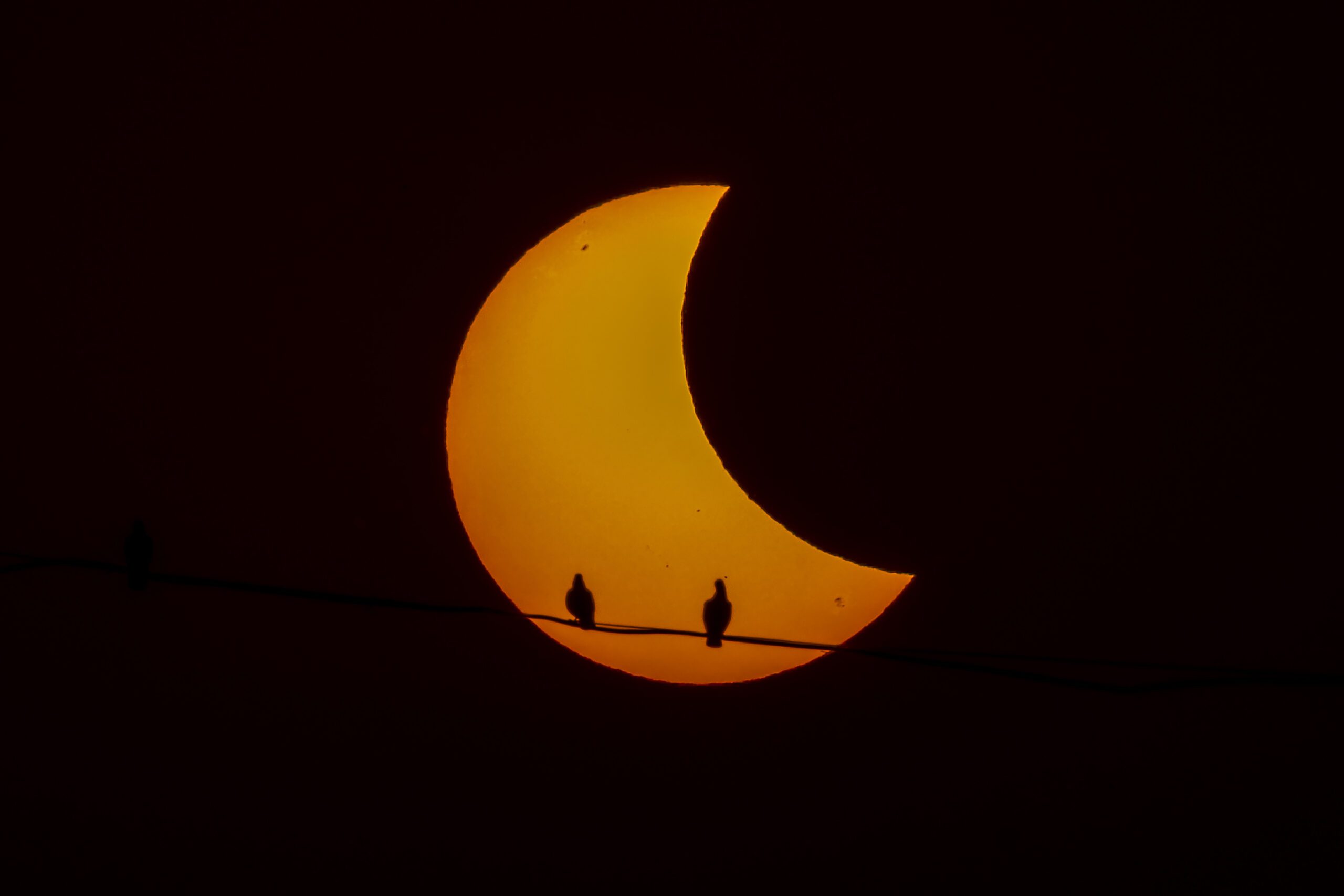 Повне сонячне затемнення: як воно впливає на світ довкола  