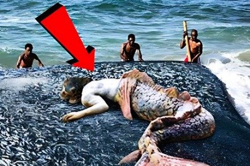 Penemuan Putri Duyung di Pantai Mencuri Perhatian! ➤ Infotime.co