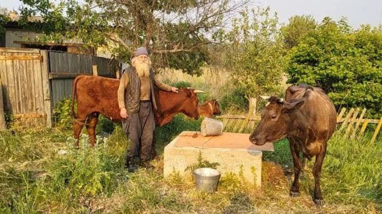 Вивів трьох корів і собаку: біля Ізюма врятували 70-річного чоловіка