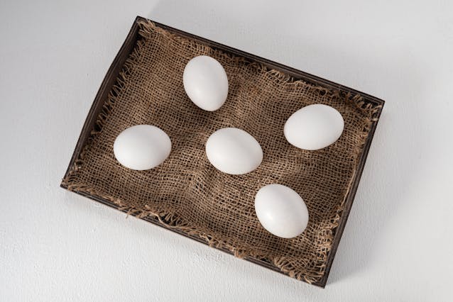 Как долго могут храниться куриные яйца: рекомендации экспертов