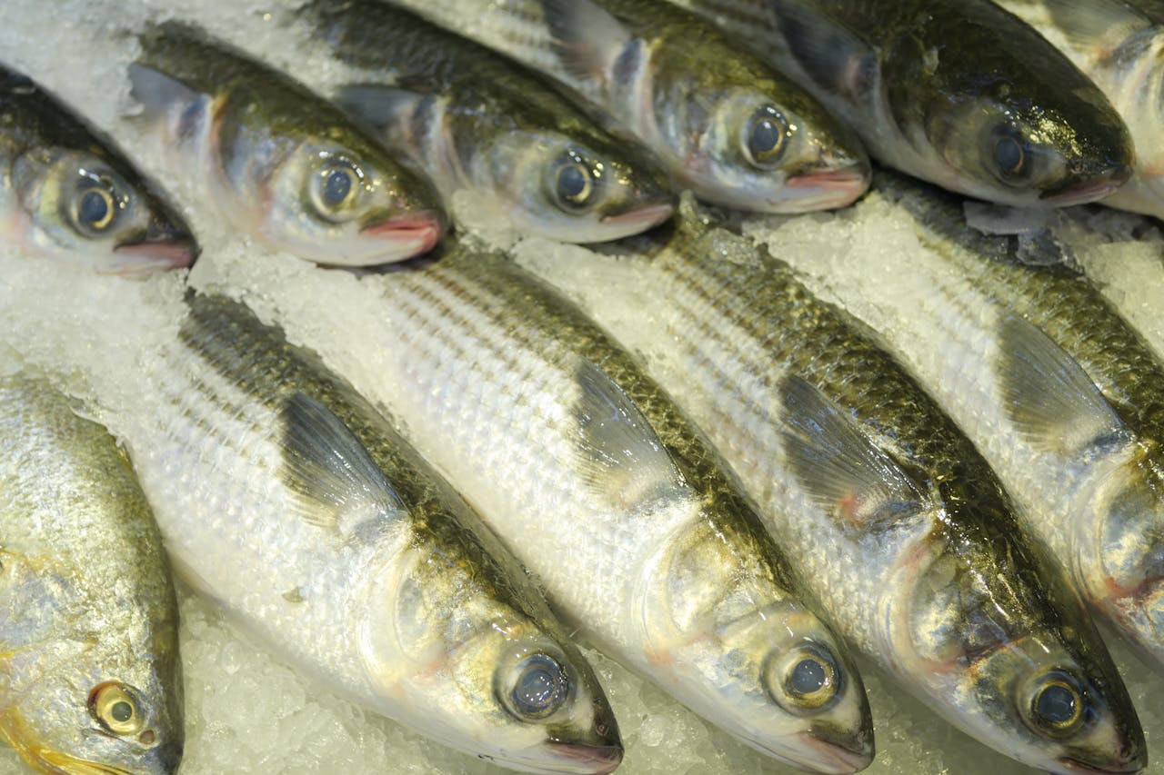 Рыба для здоровья: диетолог назвала 5 лучших видов