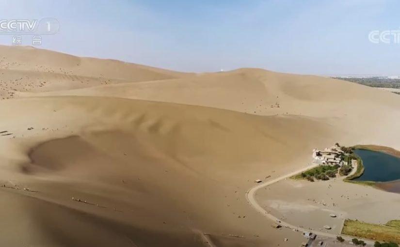 Посреди пустыни установили верблюжьи светофоры: видео ➤ Infotime.co