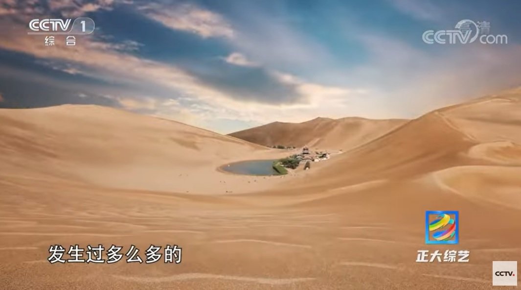 Посеред пустелі встановили верблюжі світлофори: відео   