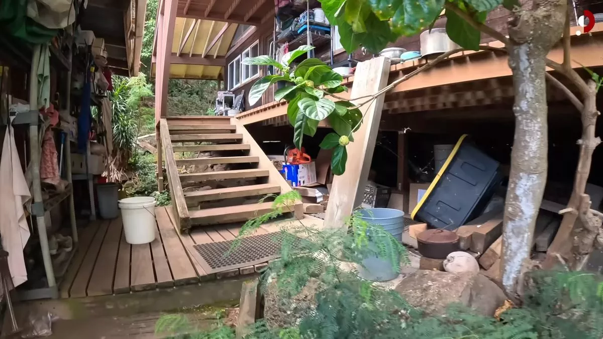 50 років без телевізора та інтернету: пара живе у джунглях Гавайських островів