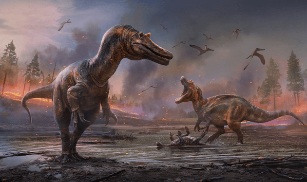 Семья нашла окаменелость динозавра во время отдыха