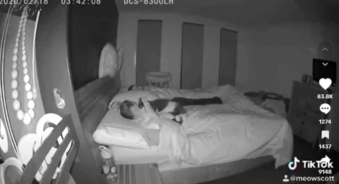 Дівчина не розуміла, чому погано спить, поки не встановила камеру