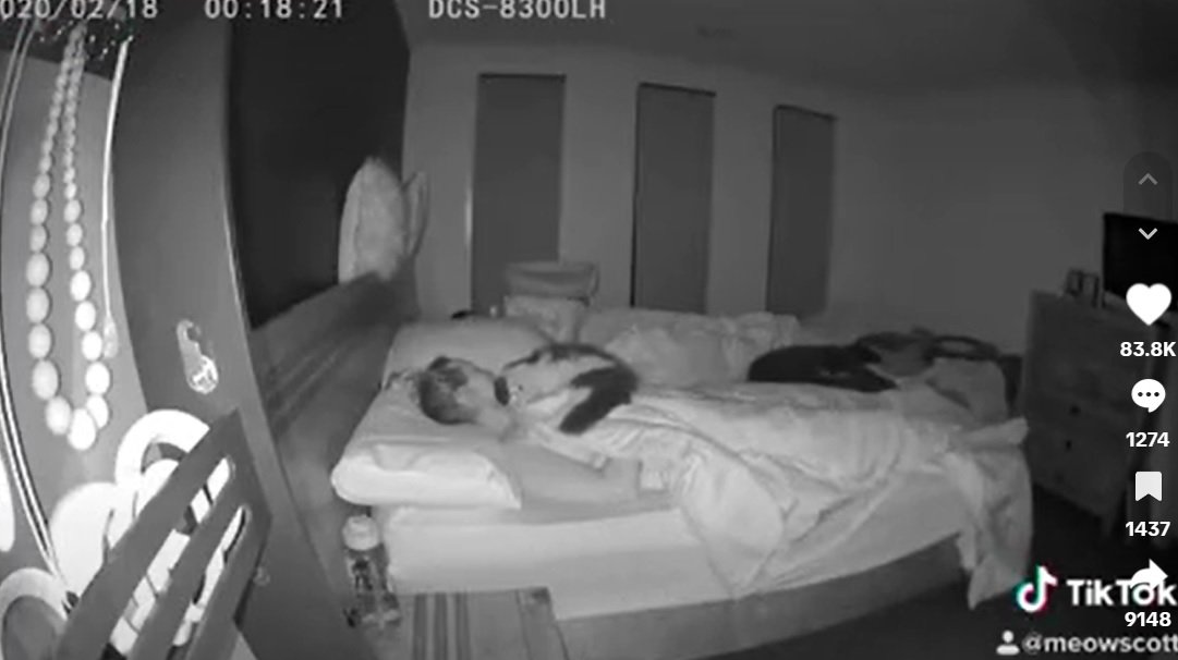 Дівчина не розуміла, чому погано спить, поки не встановила камеру