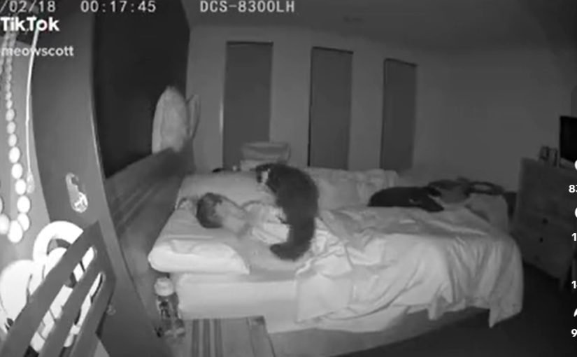 Дівчина не розуміла, чому погано спить, поки не встановила камеру ➤ Infotime.co