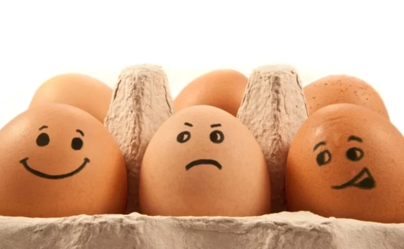 Какое количество яиц можно есть в неделю: ответ ученых ➤ Infotime.co