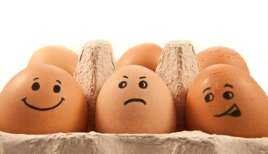 Какое количество яиц можно есть в неделю: ответ ученых ➤ Infotime.co